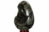 Septarian Dragon Egg Geode - Black Crystals #172813-3